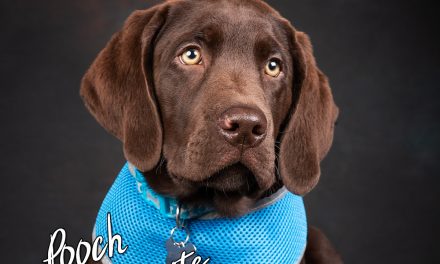 PORTRAITS AT THE DOG BARN – May 29TH 2022